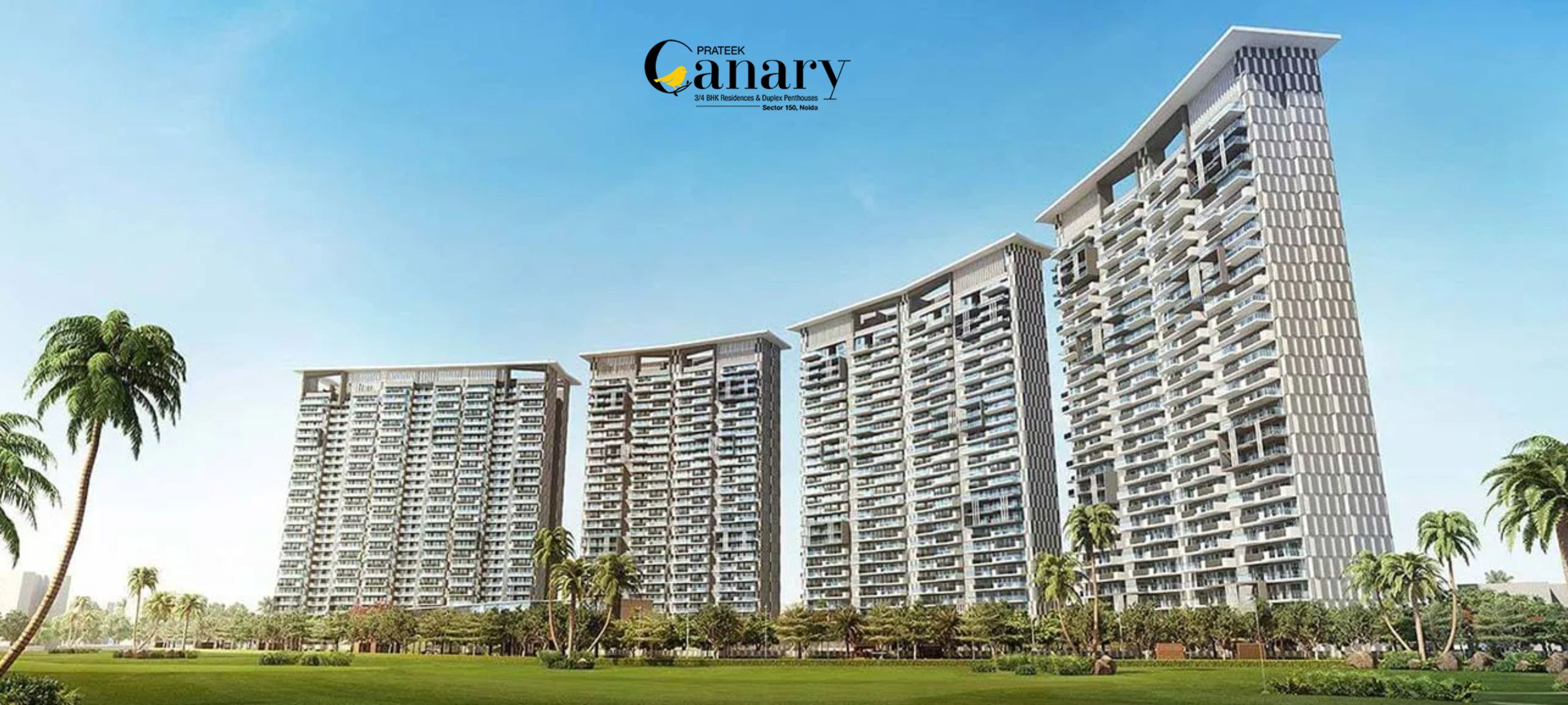 canary-banner.jpg